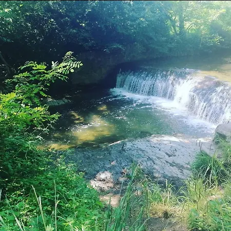 アパート Massada - Deconnexion Entre Pins &